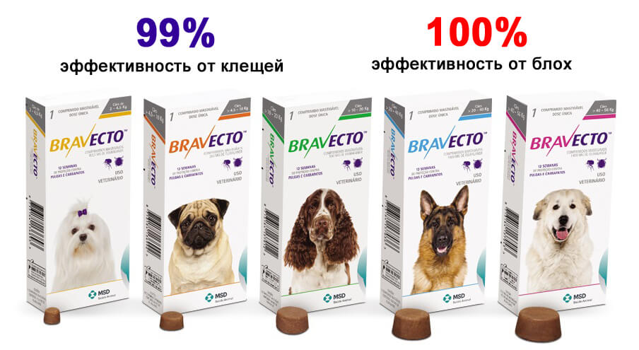 Аналог бравекто для собак 20 40 кг. Бравекто (Bravecto) 20-40 кг, таблетка 1000 мг. Бравекто 500 мг. Бравекто 20-40. Бравекто 2-4.5 кг.