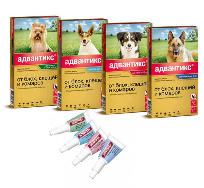 Капли от блох для собак адвантикс: инструкция по применению, цена и аналоги