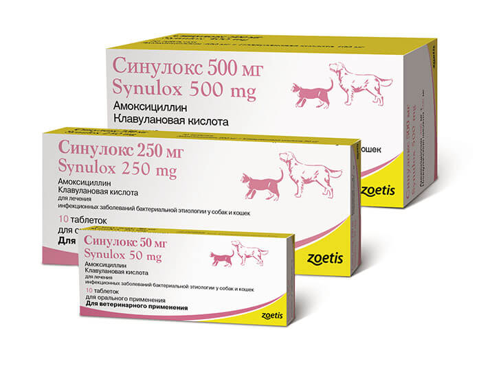 антибиотики для собак при кишечной инфекции