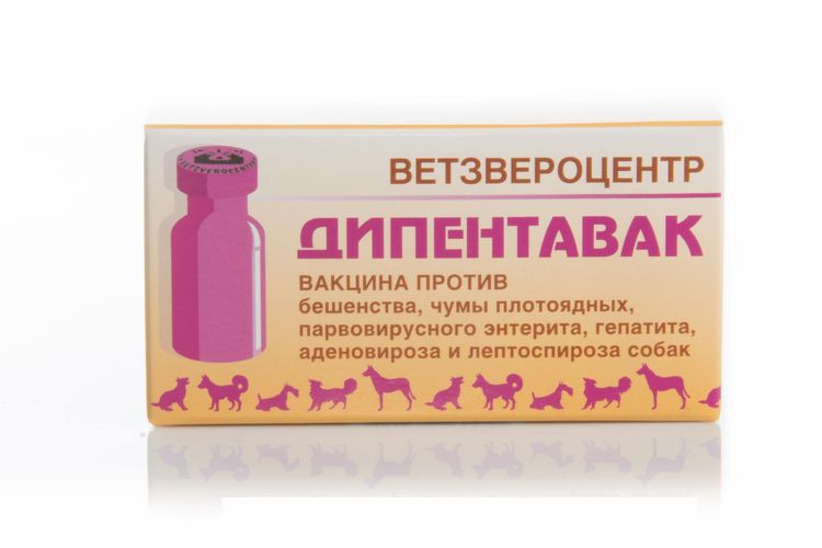 Прививки для собак дипентавак