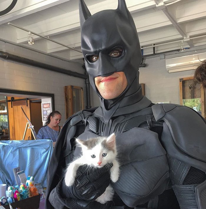 настоящий бэтмен в реальной жизни спасает кошек.jpg