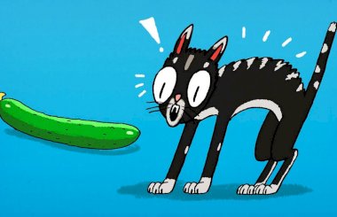 Почему кошки боятся огурцов и бананов