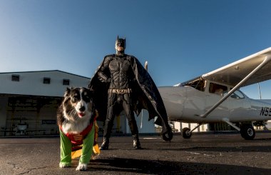Мужчина в костюме Бэтмена спасает животных из приютов